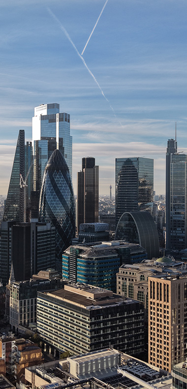 panoramic view of London skyline featuring modern skyscrapers and iconic buildings under a clear sky showcases urban development over 30 years