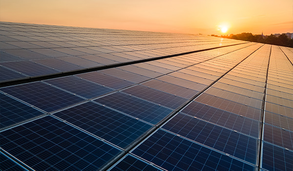 solar panels installed in a field at sunset reflecting 19 renewable energy benefits